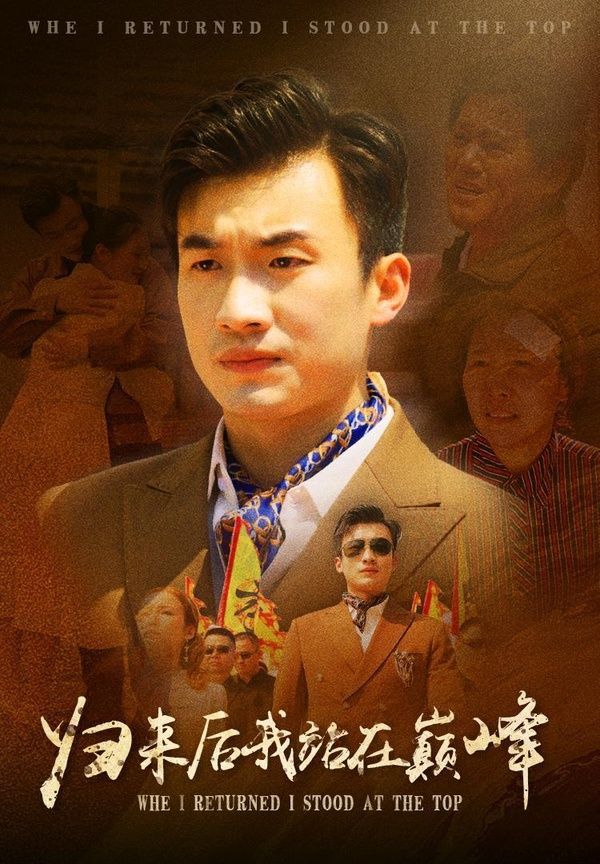 归来后我站在巅峰封面