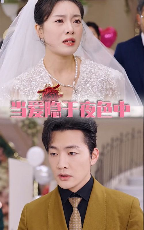 当爱隐于夜色中封面