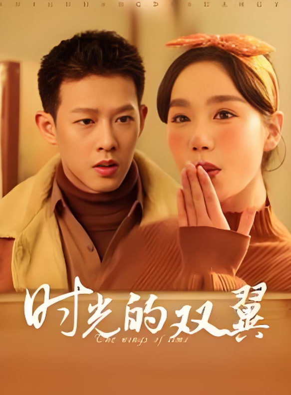 时光的双翼封面