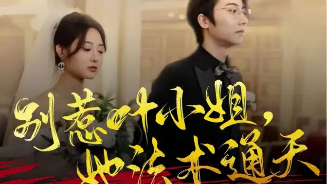 别惹叶小姐，她法术通天封面