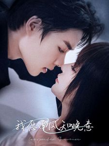 我愿南风知晚意封面