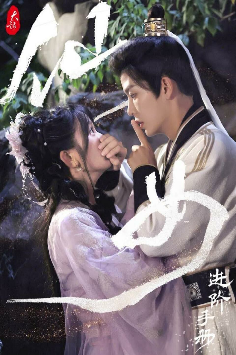 大话仙女进阶手册封面