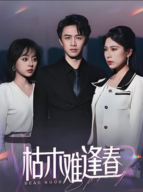 枯木难逢春封面