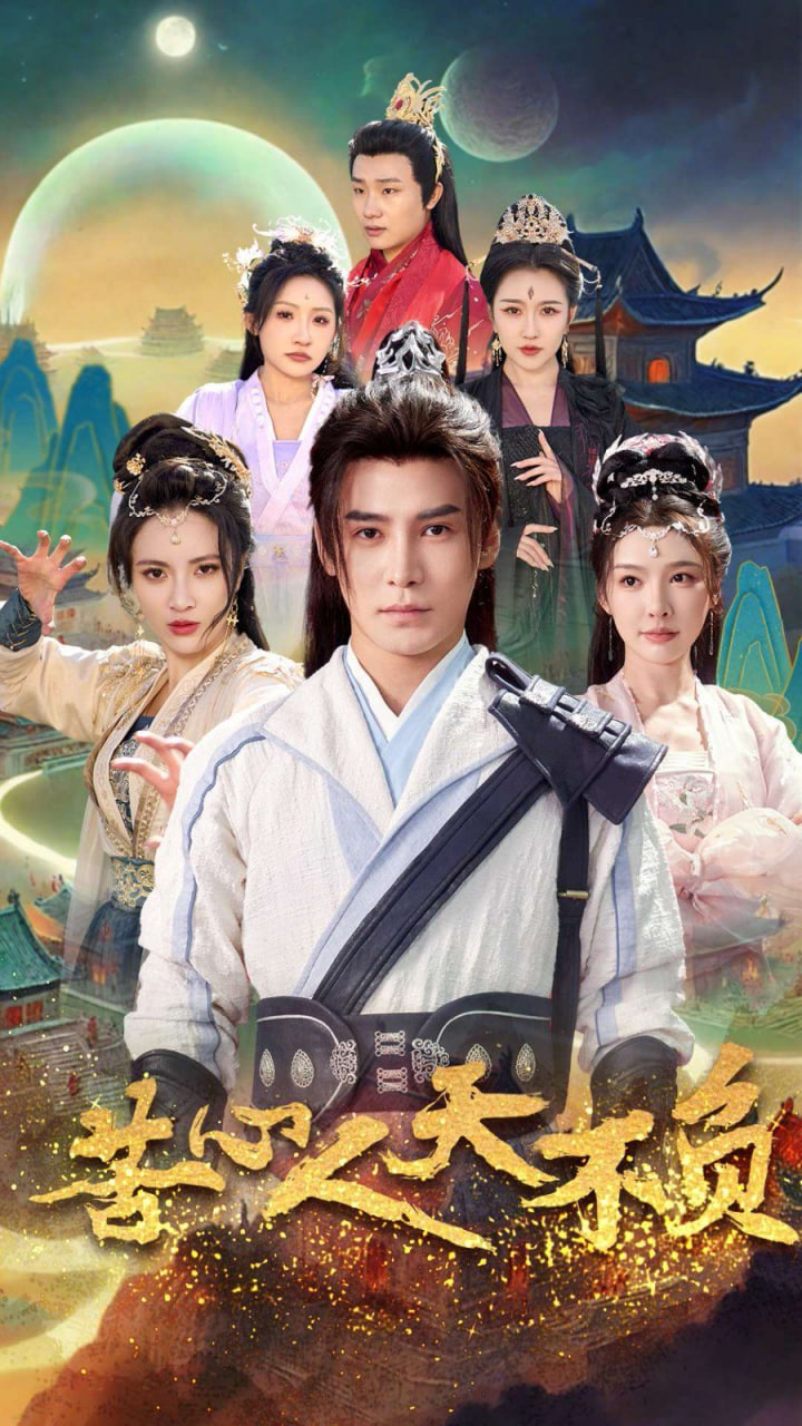 苦心人天不负封面