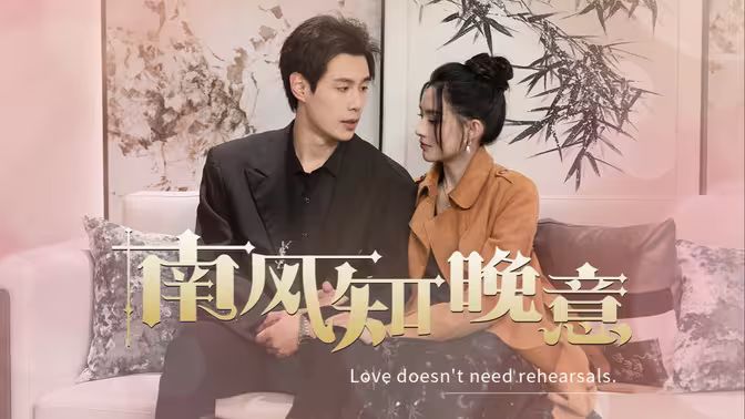 南风知晚意封面