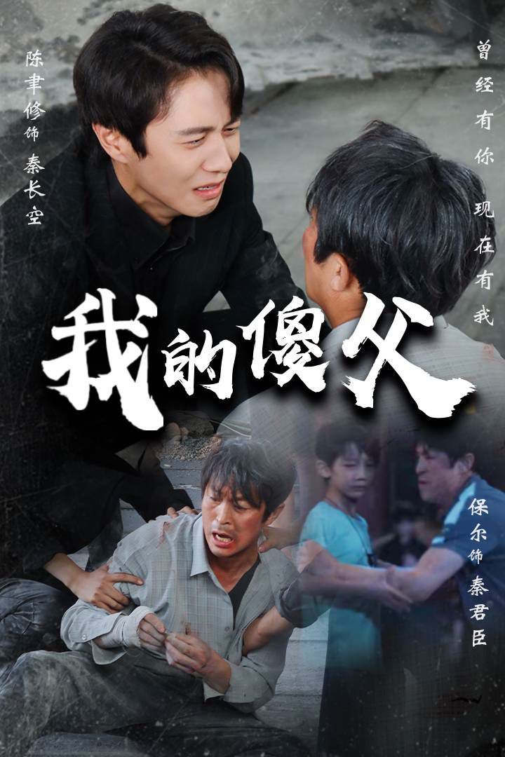 我的傻父封面