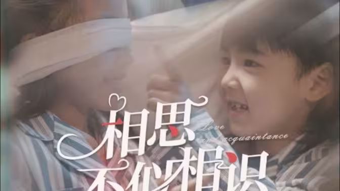相思不似相识封面