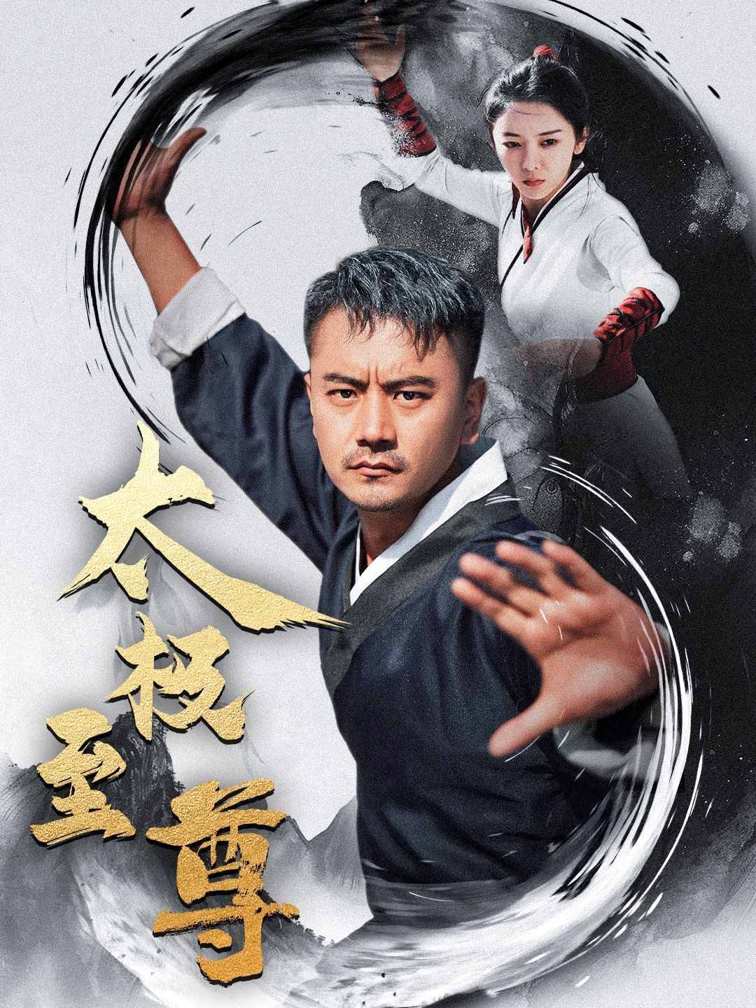 太极至尊封面