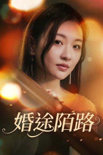 婚途陌路封面