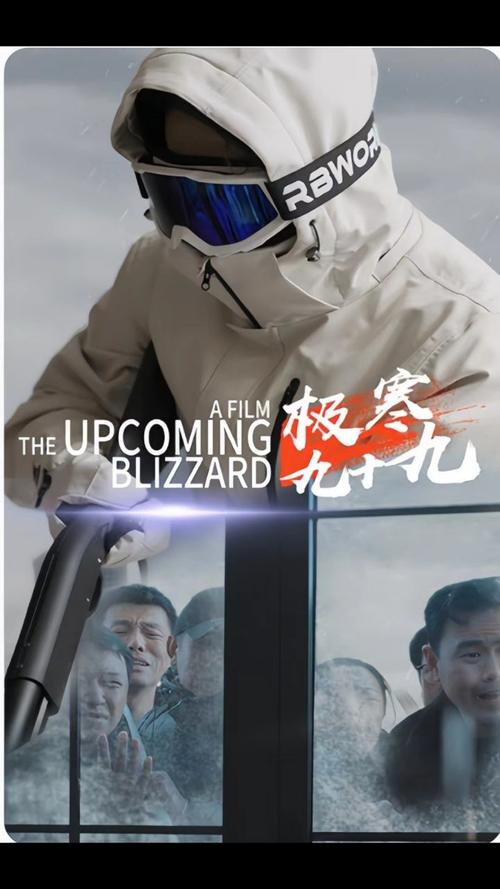 极寒九十九封面