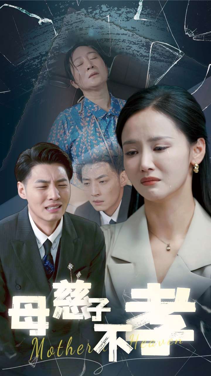母慈子不孝封面