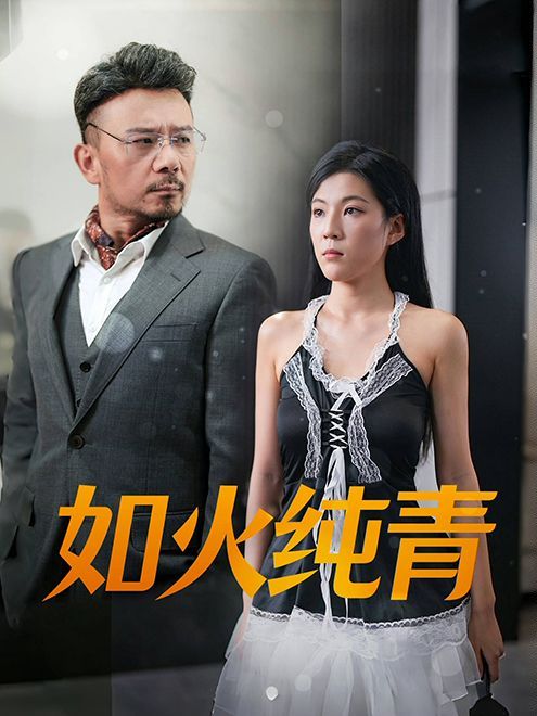 如火纯青封面