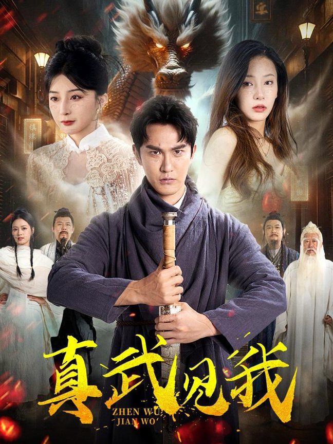 真武见我封面