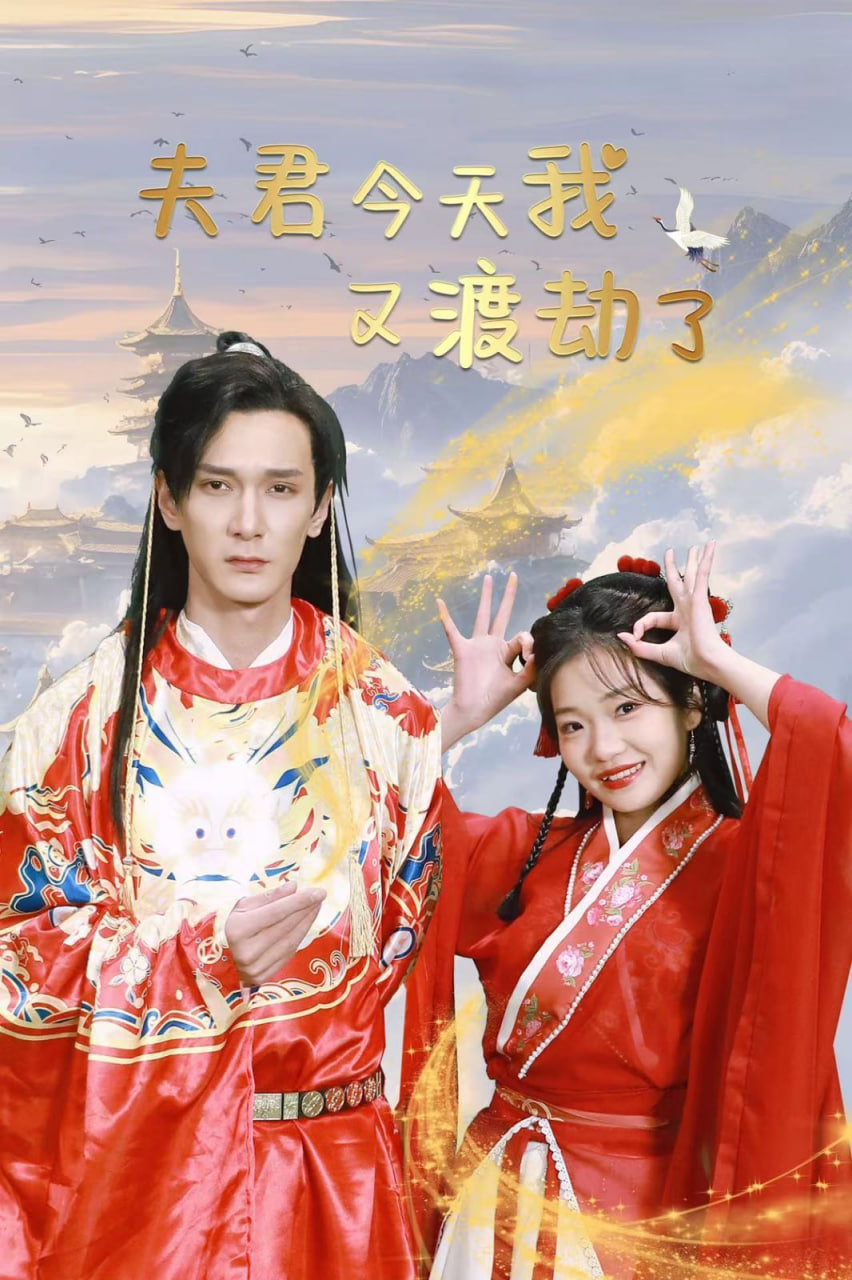 夫君今天我又渡劫了封面