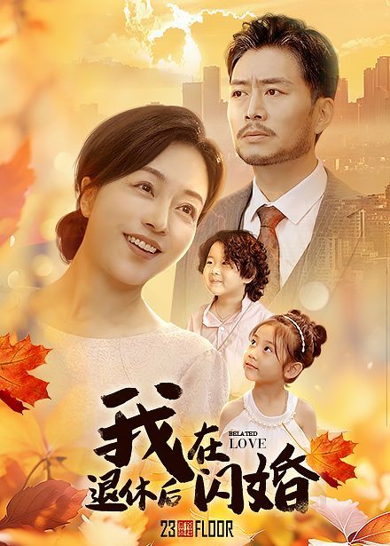 我在退休后闪婚封面