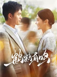 鹤鹤有鸣封面