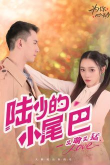 陆少的小尾巴又萌又猛封面