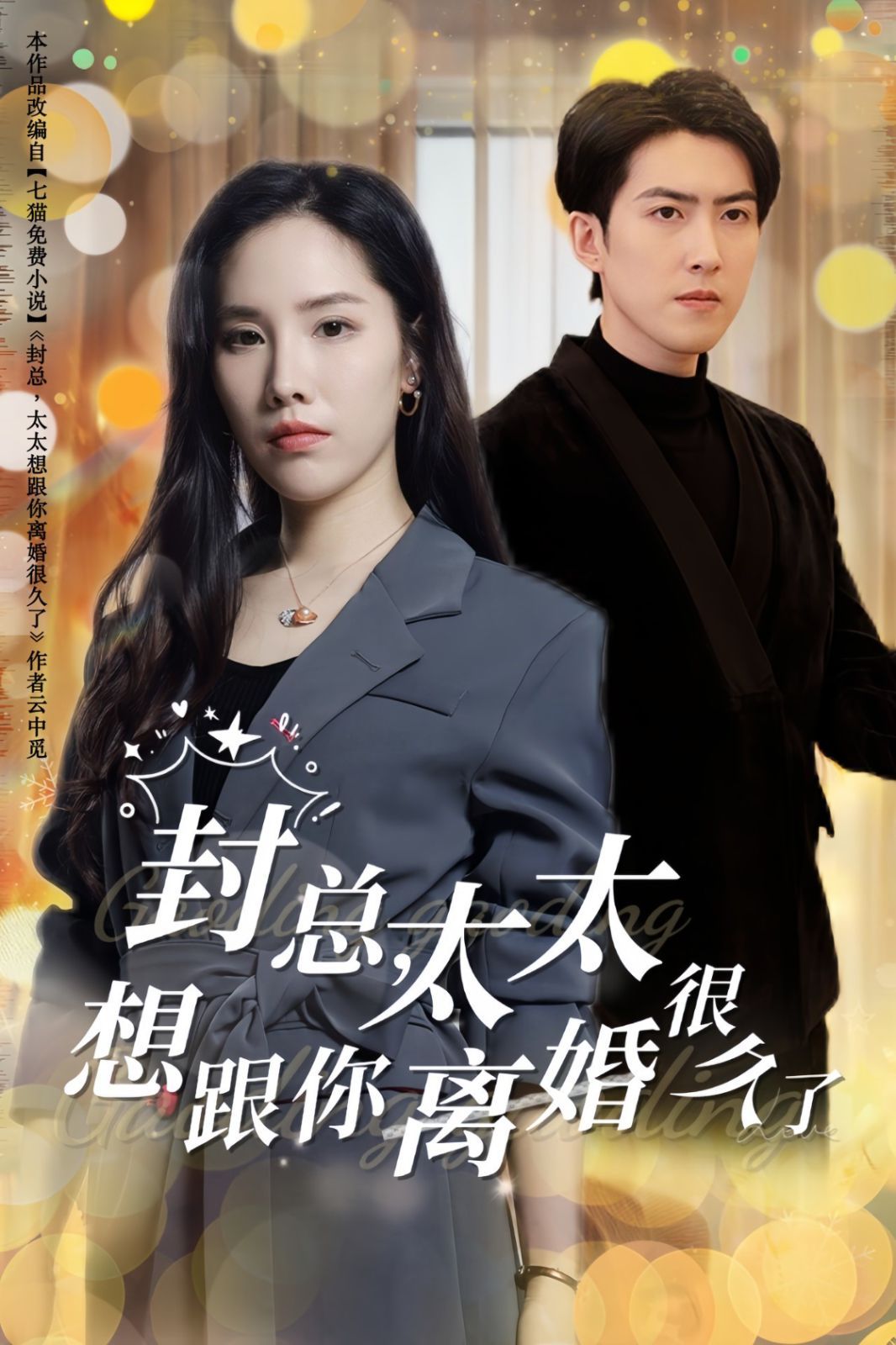 封总太太想跟你离婚很久了封面