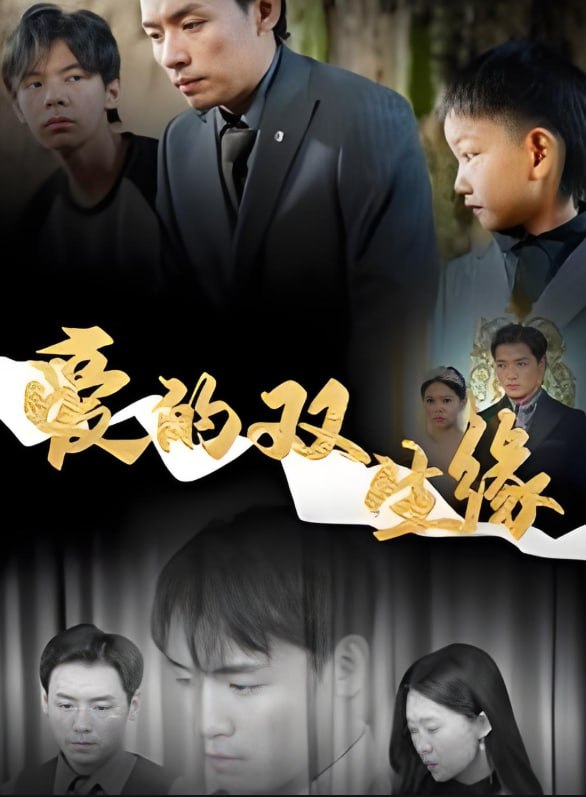 爱的双生缘封面