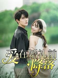 爱在婚礼前降落封面