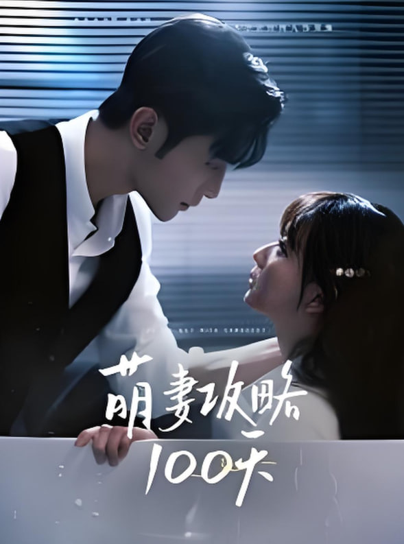 萌妻攻略100天封面
