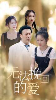 无法挽回的爱封面