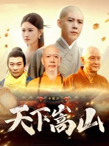 天下嵩山封面