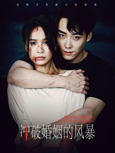 冲破婚姻的风暴封面