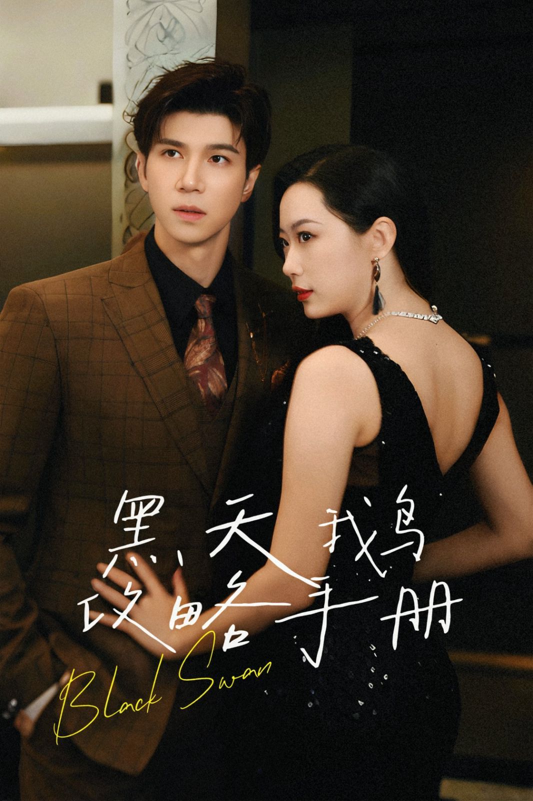 黑天鹅攻略手册封面