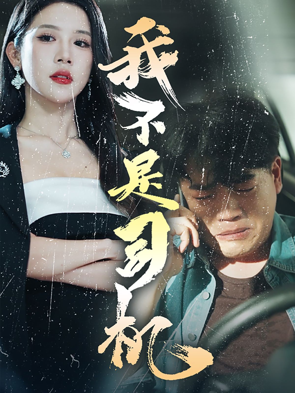 我不是司机封面