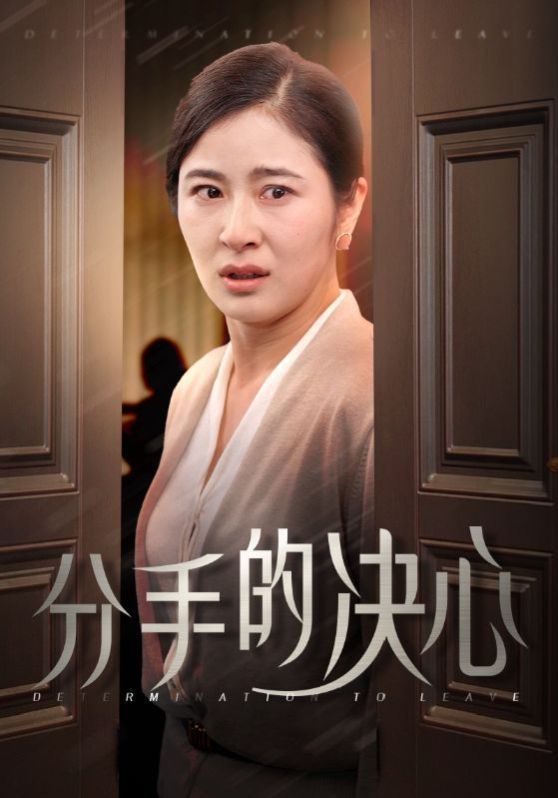 分手的决心封面