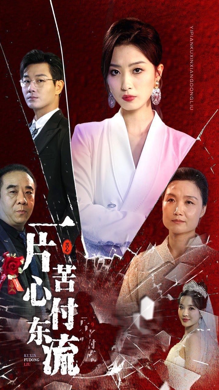 一片苦心付东流（女儿的荣耀）封面