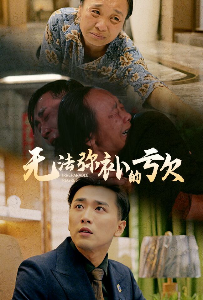 无法弥补的亏欠封面