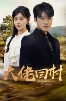 大佬回村封面