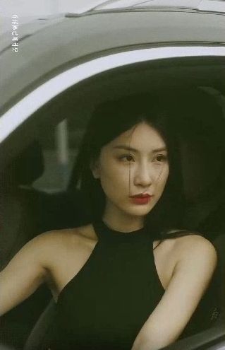特工凤凰（绝色特工）封面