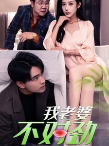 我老婆不对劲封面