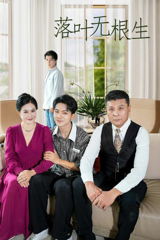 落叶无根生封面