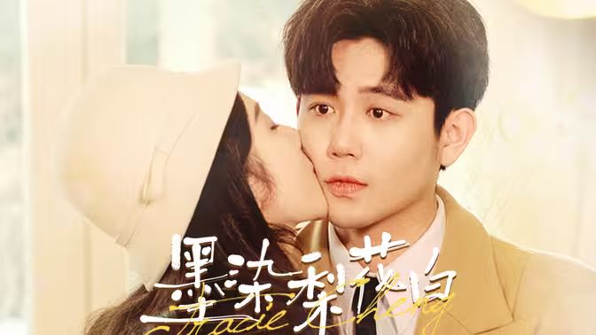 墨染梨花白封面