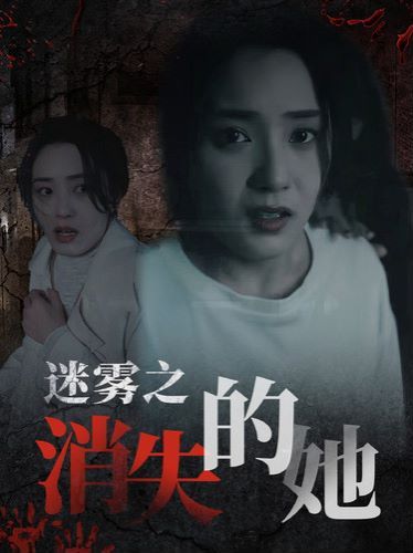 迷雾之消失的她封面