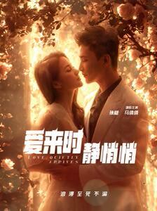 爱来时静悄悄封面