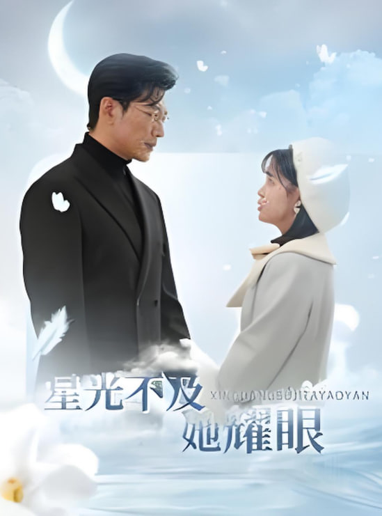 星光不及她耀眼封面