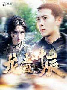 龙王殿叶辰封面