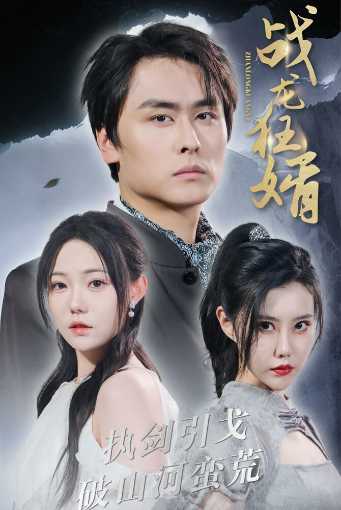 战龙狂婿封面