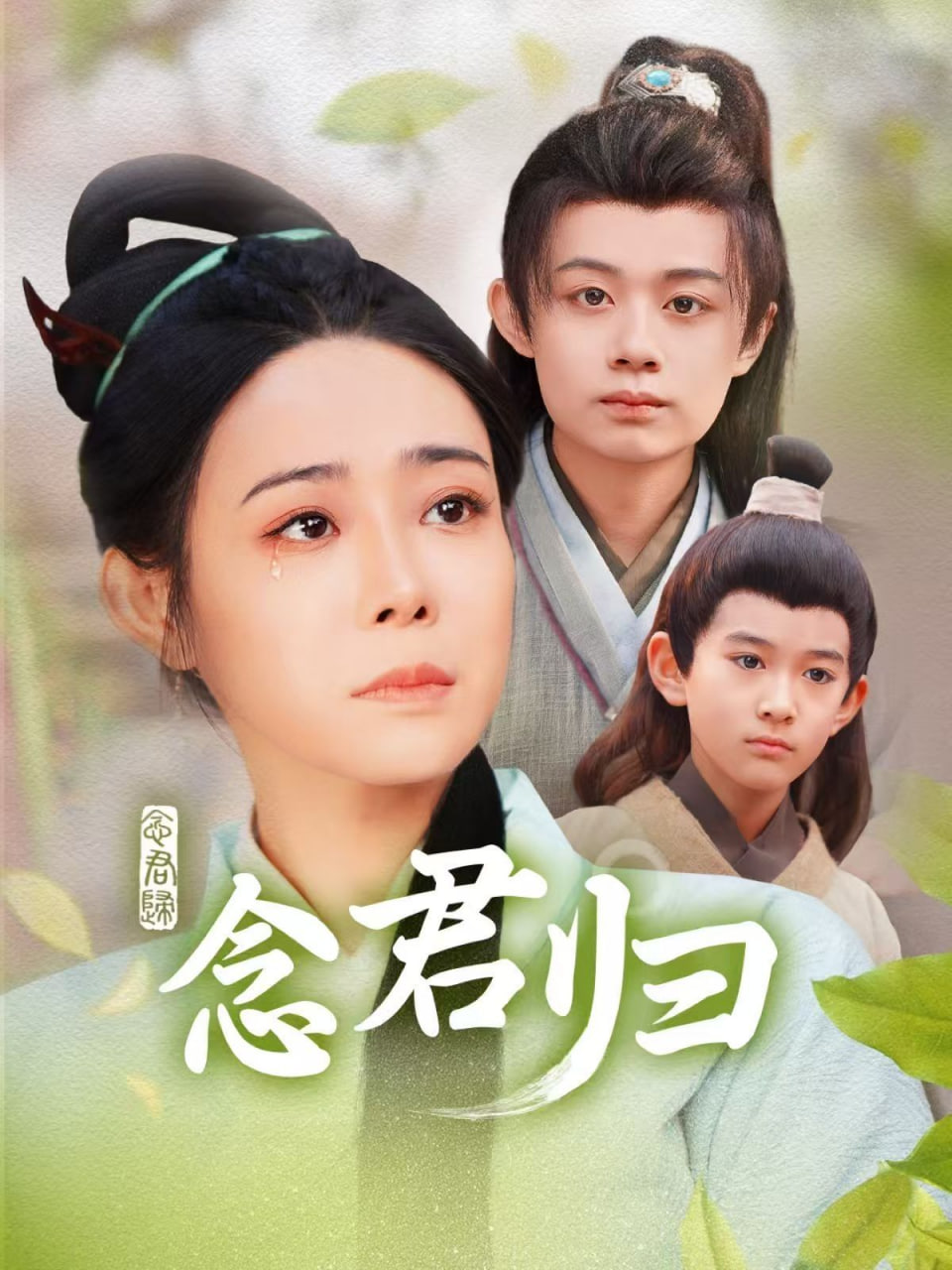 念君归封面