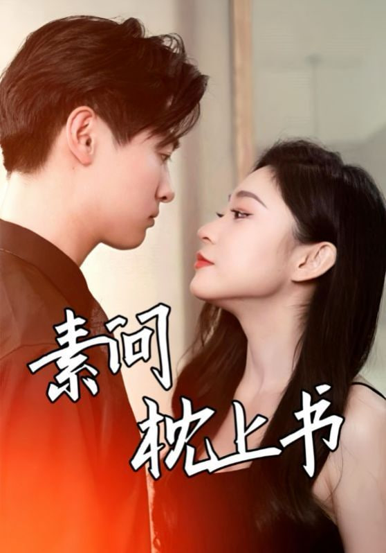 素问枕上书封面