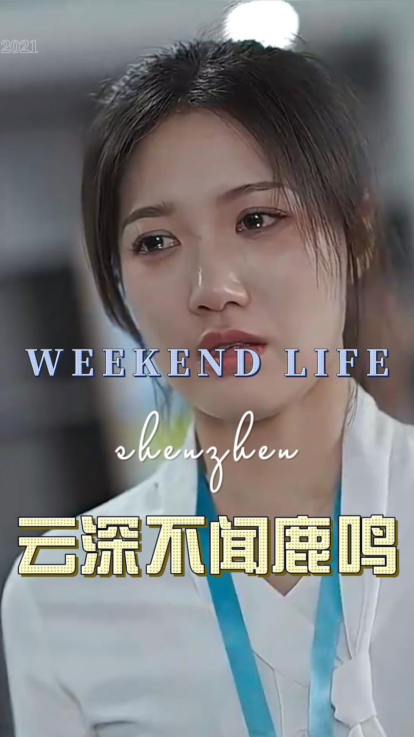 云深不闻鹿鸣封面