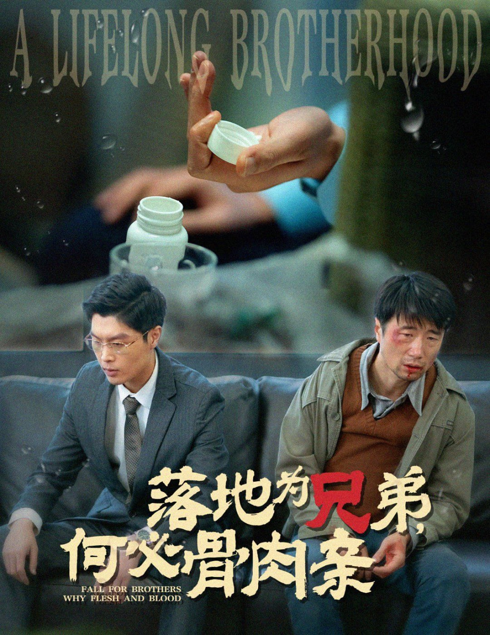 落地为兄弟，何必骨肉亲封面
