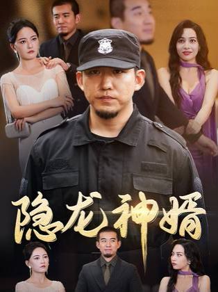 隐龙神婿封面