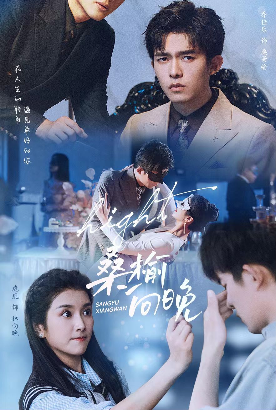 桑榆向晚封面