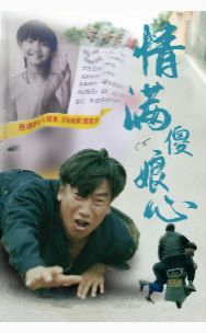 情满傻娘心封面